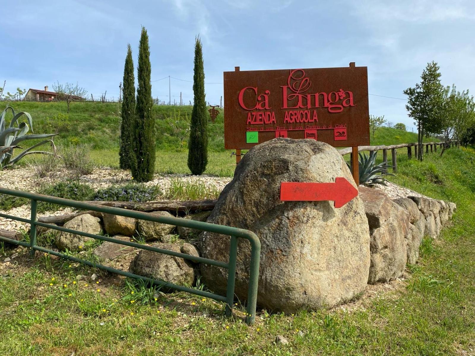 Azienda Agricola Ca' Lunga Cinto Euganeo Exterior foto